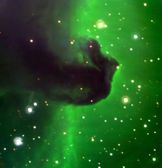 Horse head nebula